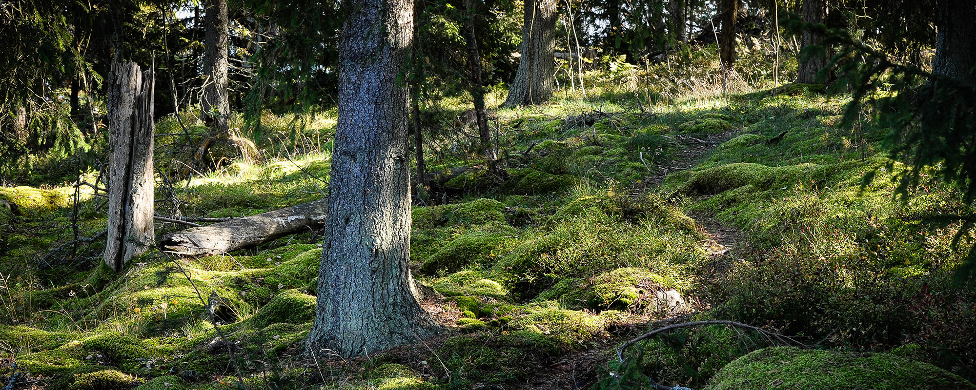 Nature Reserve Experience